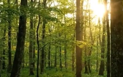 Elevate with Swati Shukla